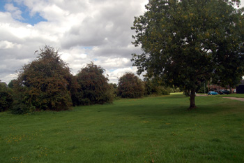 Caldecote Green August 2010